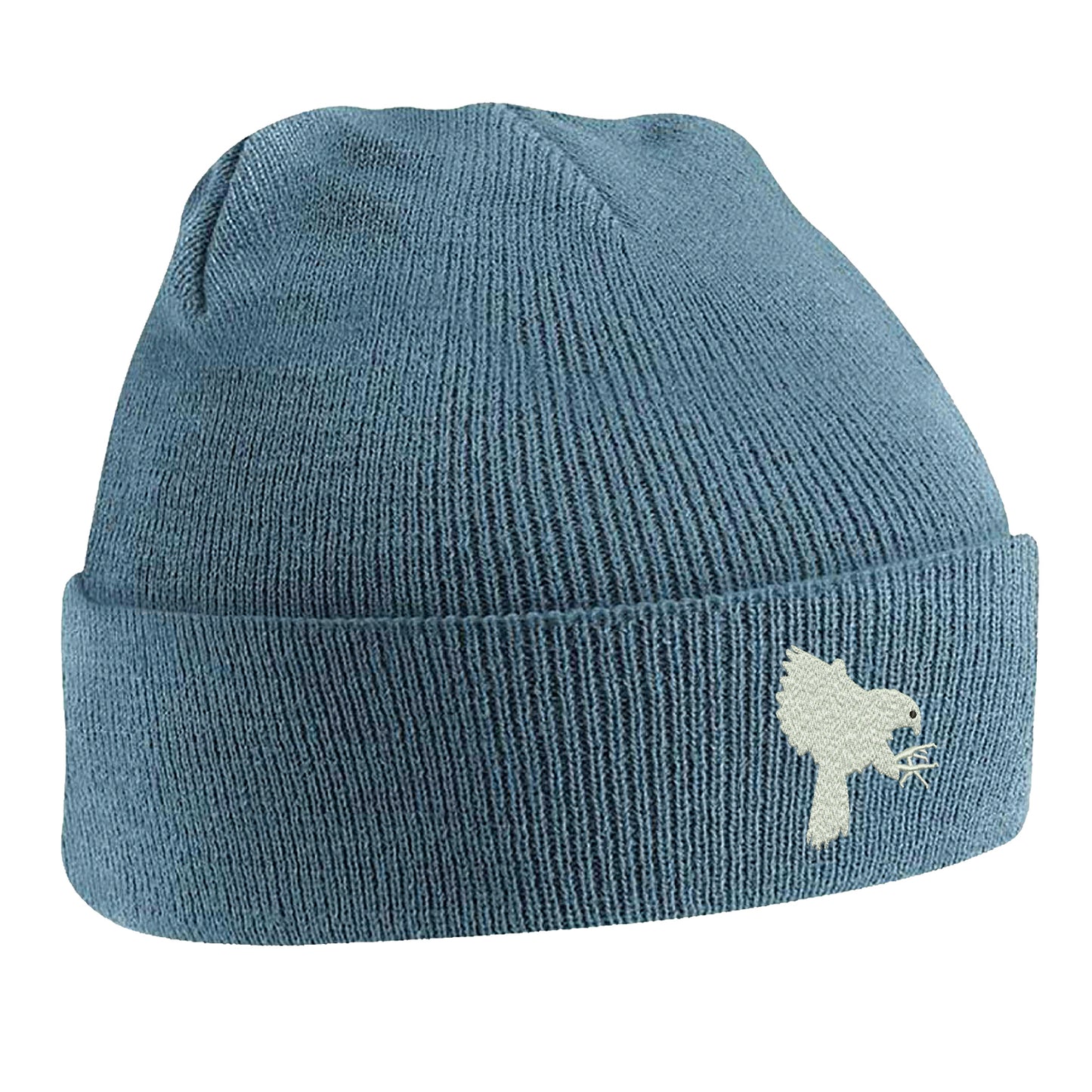 Falcons Beanie Hat