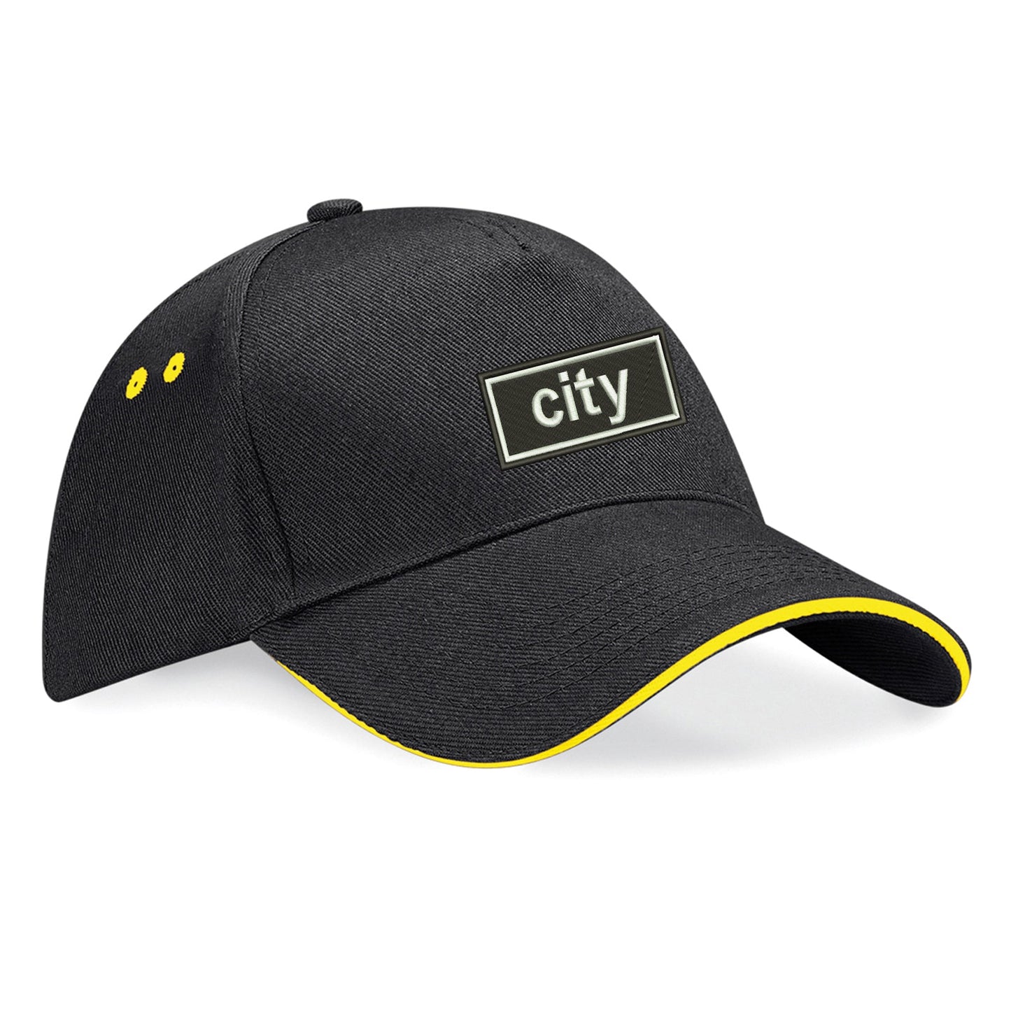 City Oasis Baseball Cap