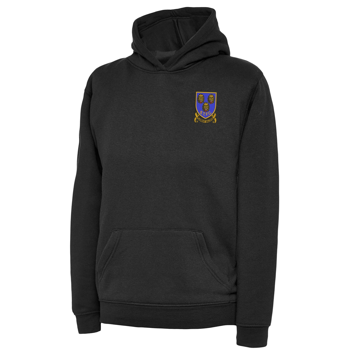Retro Shrewsbury 1993 Embroidered Children's Hoodie