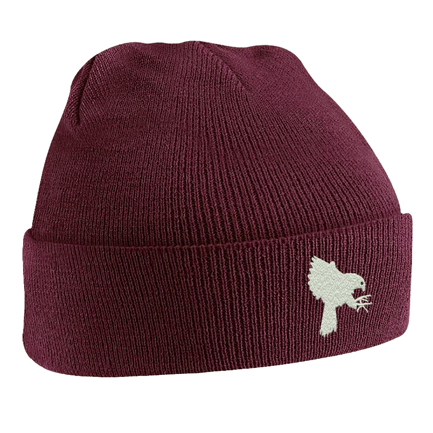 Falcons Beanie Hat