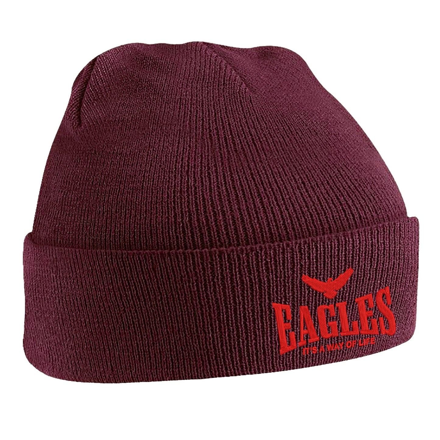 Eagles It's a Way of Life Beanie Hat