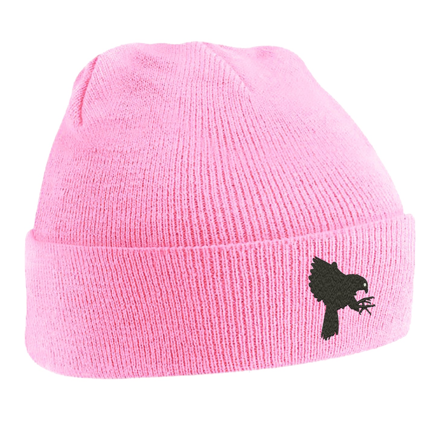 Falcons Beanie Hat