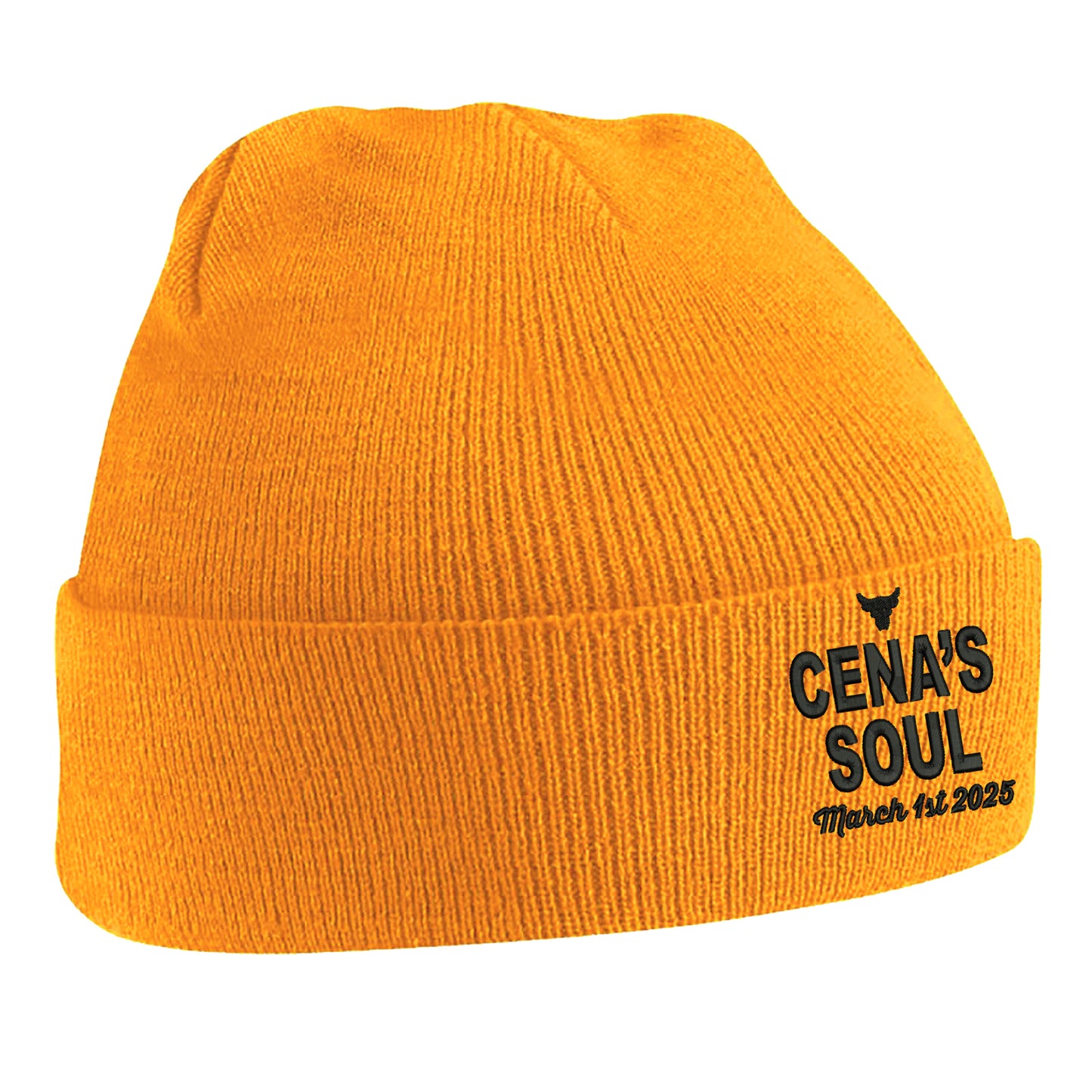 John Cena The Rock WWE Beanie Hat