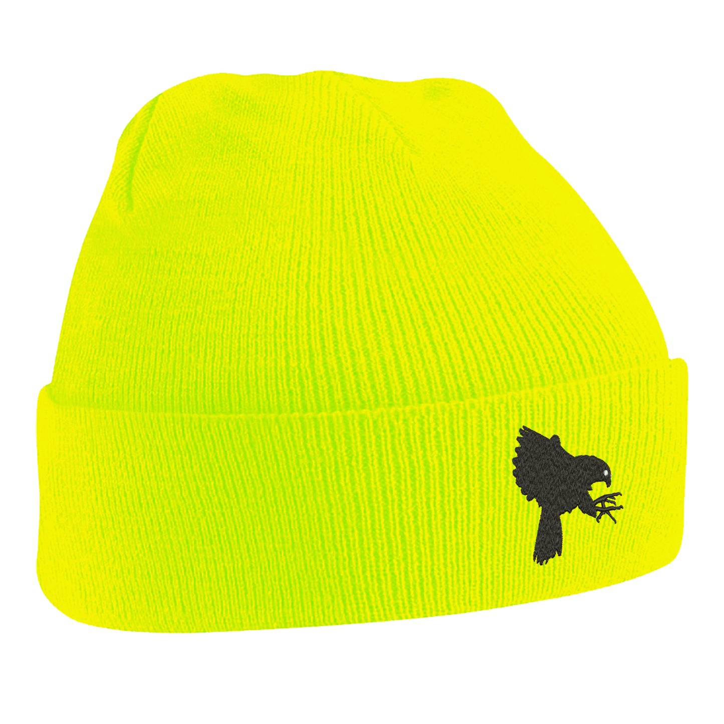 Falcons Beanie Hat