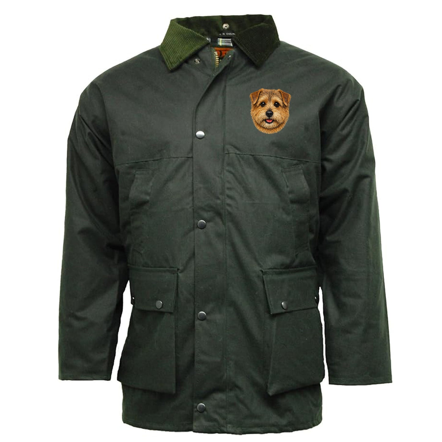 Norfolk Terrier Dog Face Coat