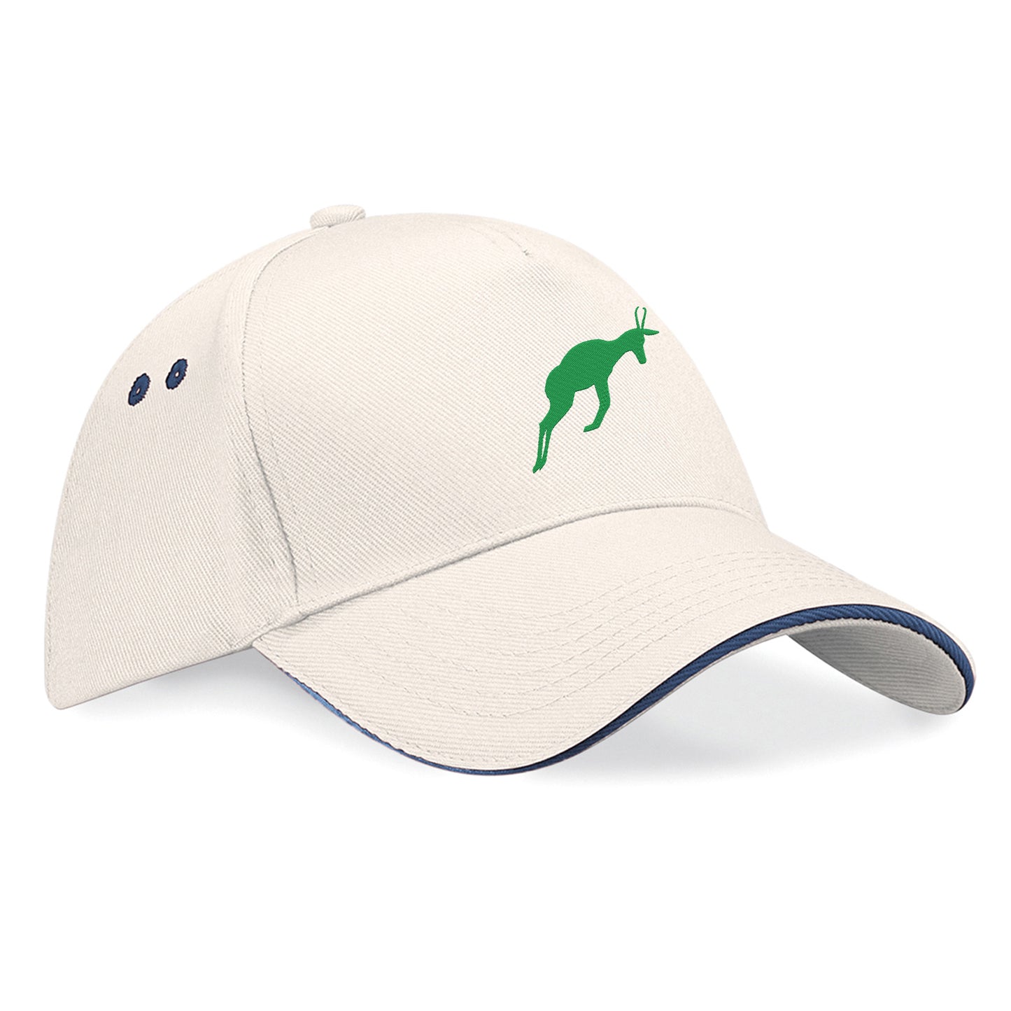 Retro South Africa Rugby 1906 Baseball Cap