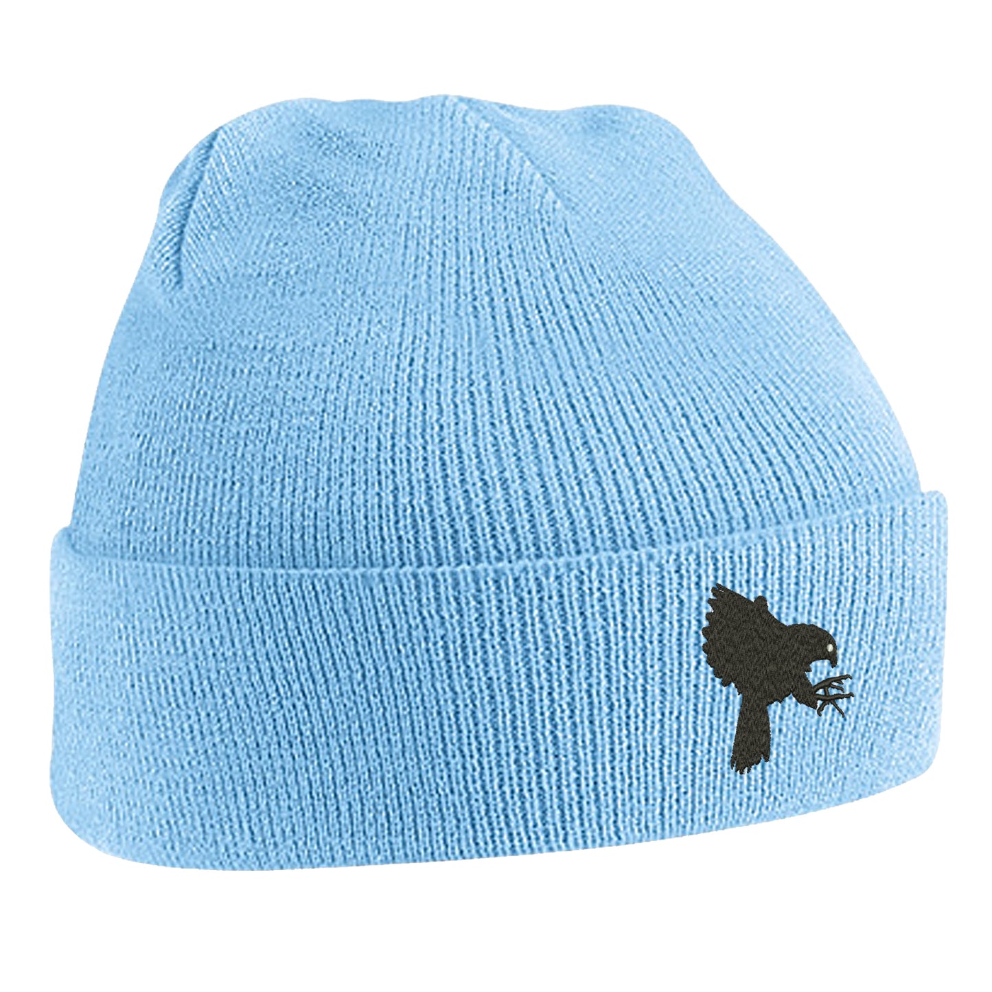 Falcons Beanie Hat