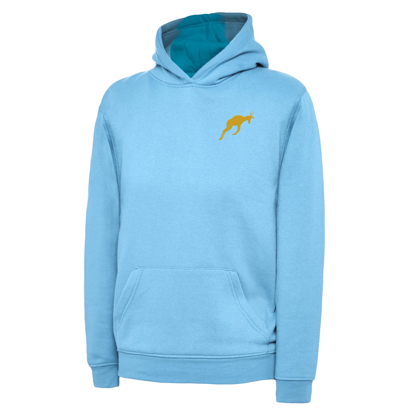 Retro South Africa Rugby 1906 Embroidered Children's Hoodie