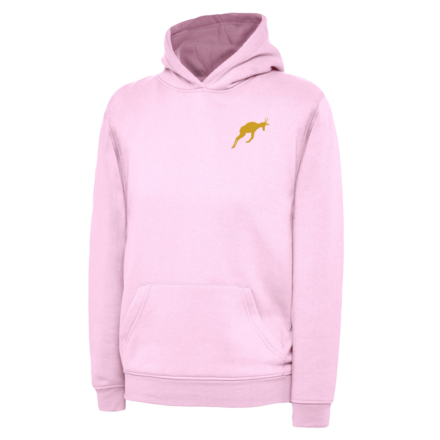 Retro South Africa Rugby 1906 Embroidered Children's Hoodie
