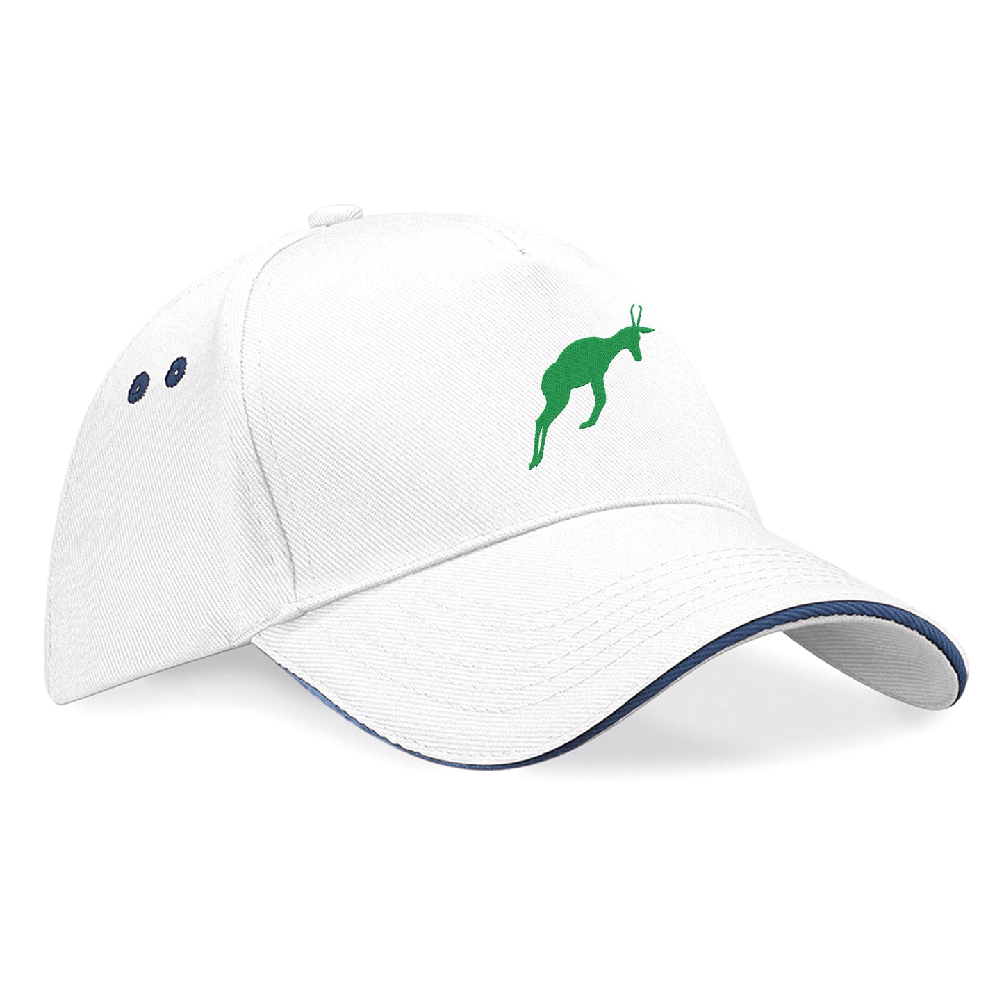 Retro South Africa Rugby 1906 Baseball Cap