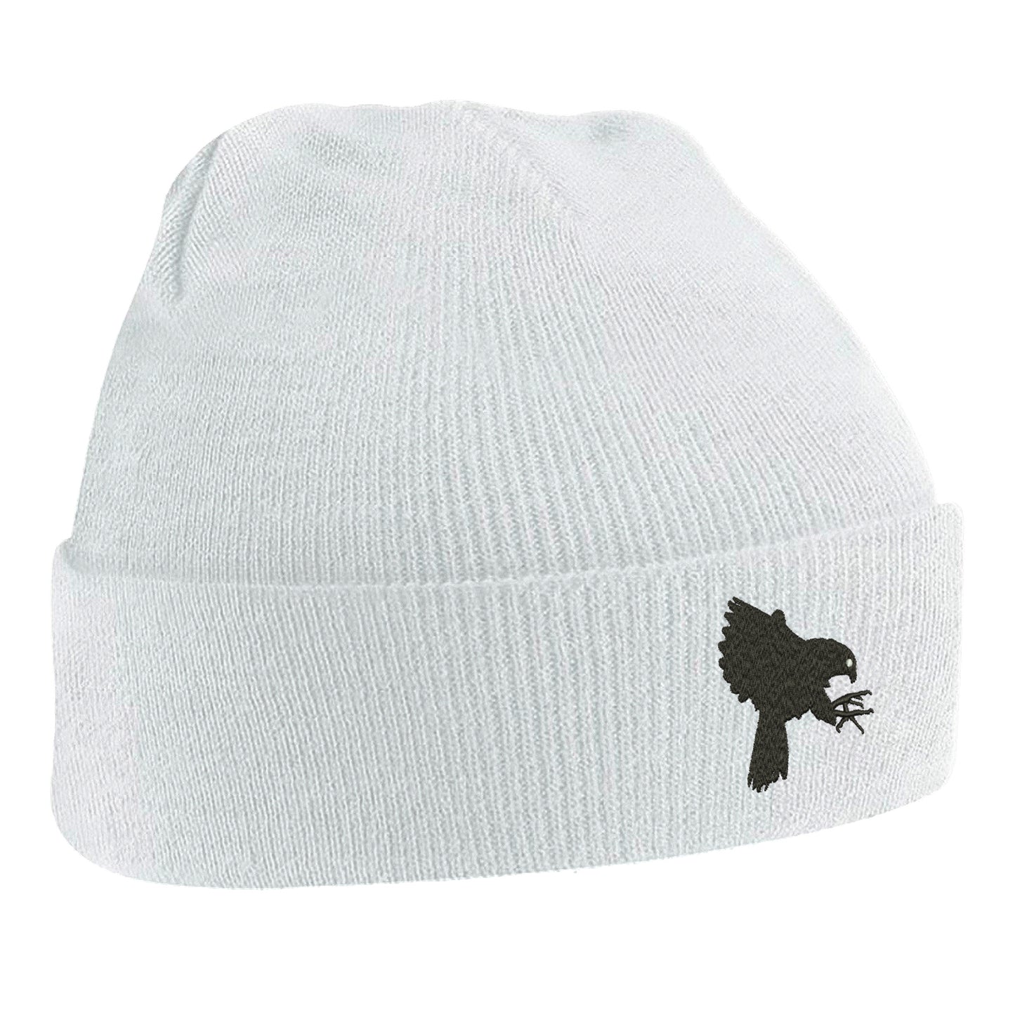 Falcons Beanie Hat