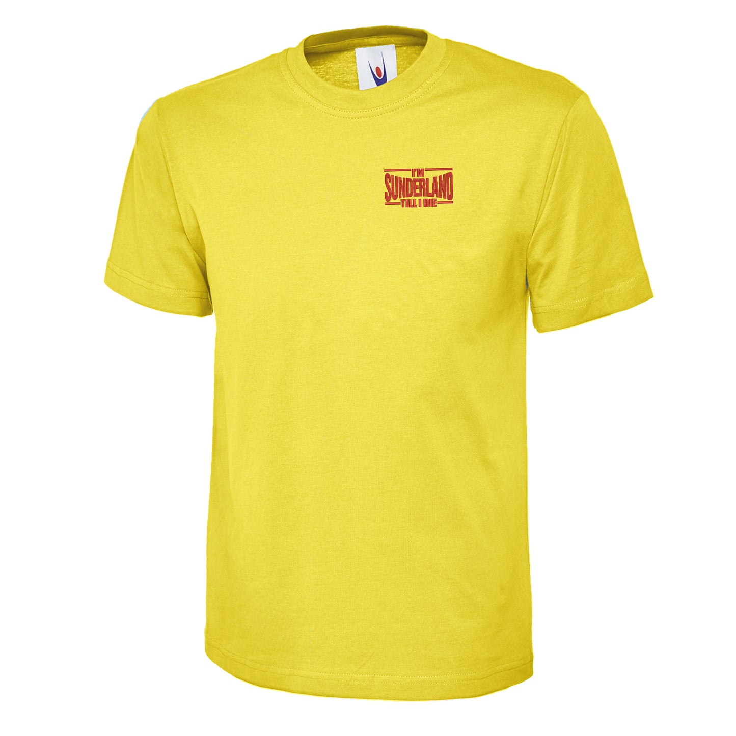 Sunderland Till I Die Embroidered Children's T-Shirt