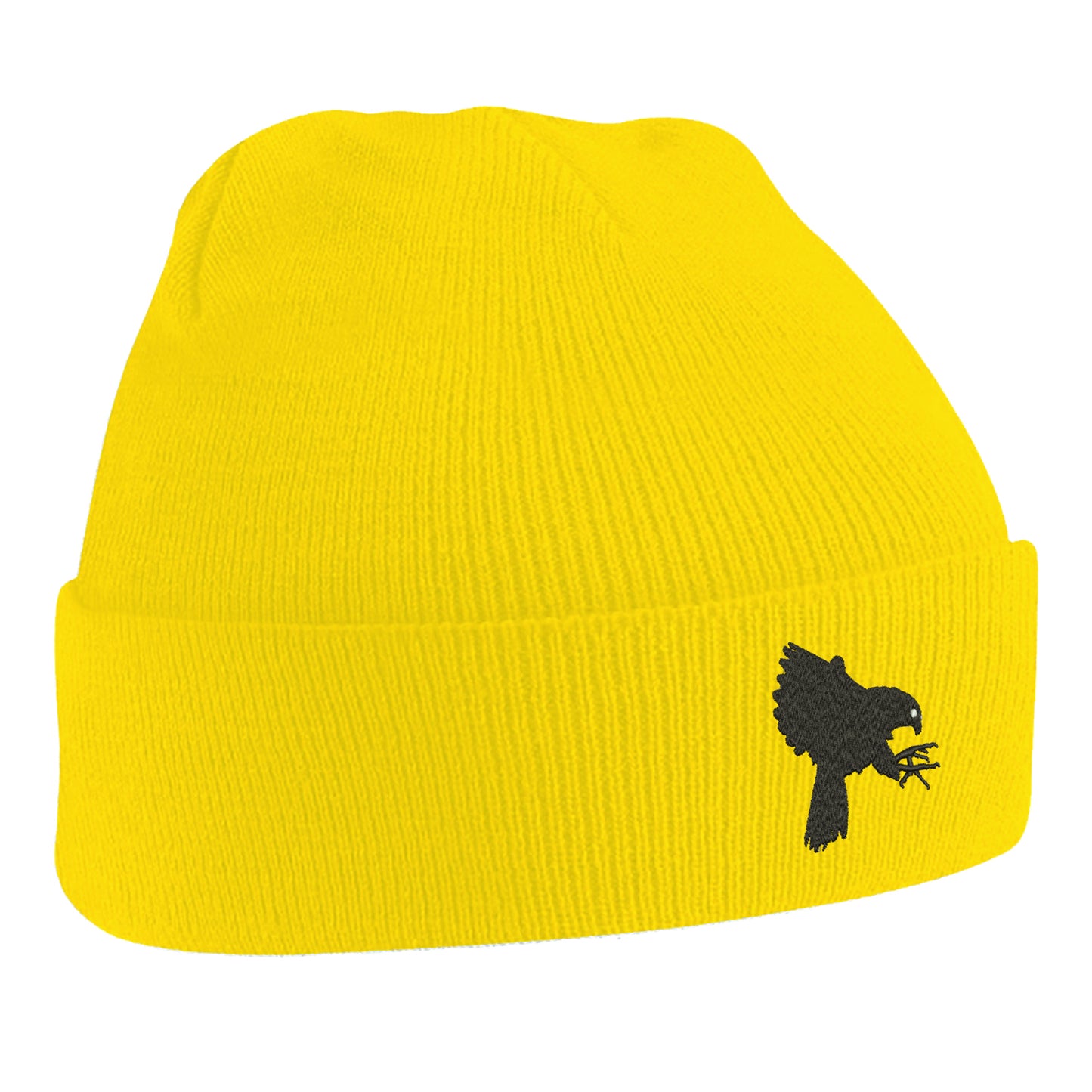 Falcons Beanie Hat