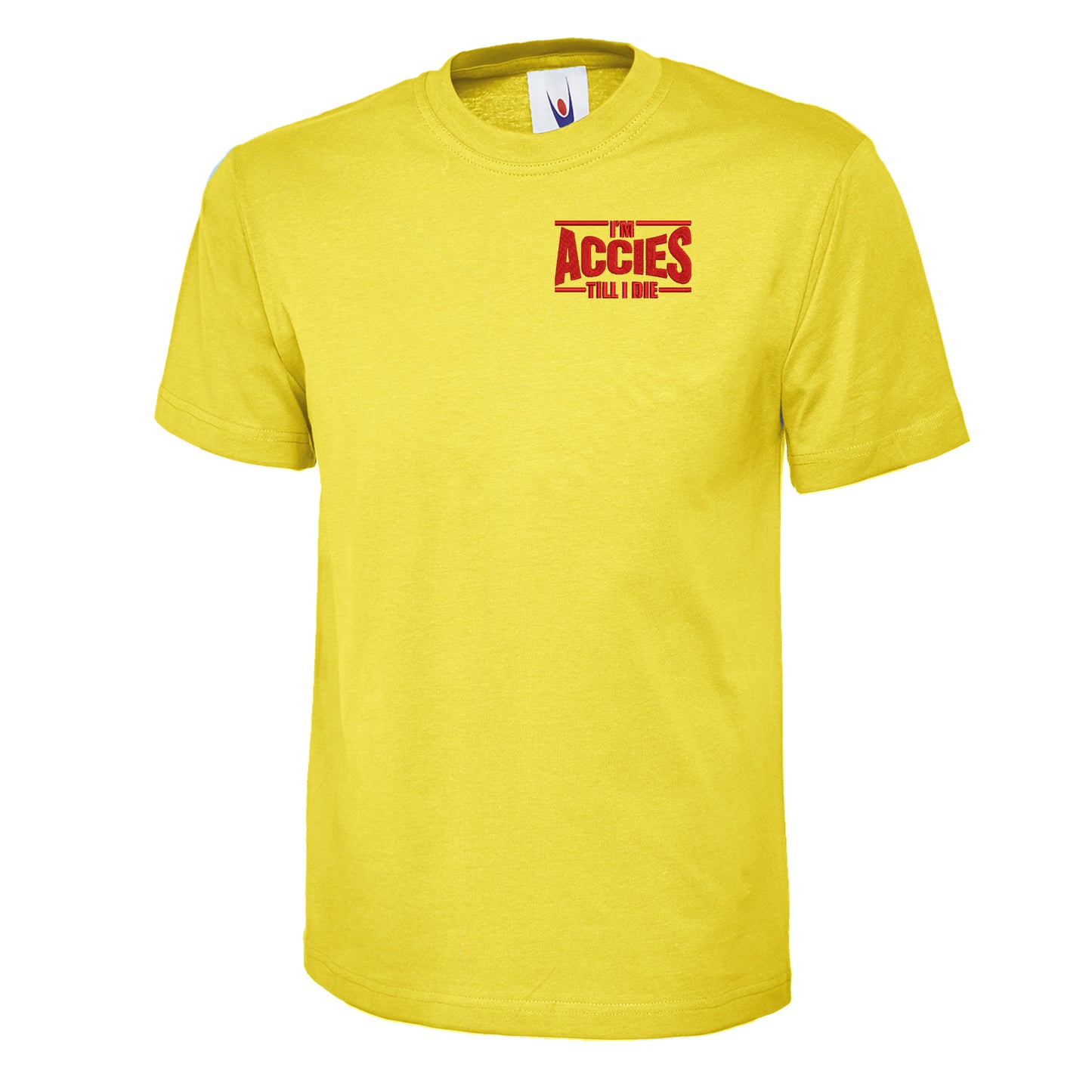 Childs Hamilton Academical Shirt