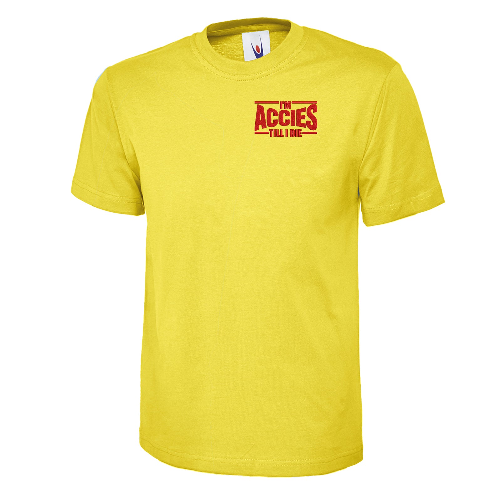 Childs Hamilton Academical Shirt