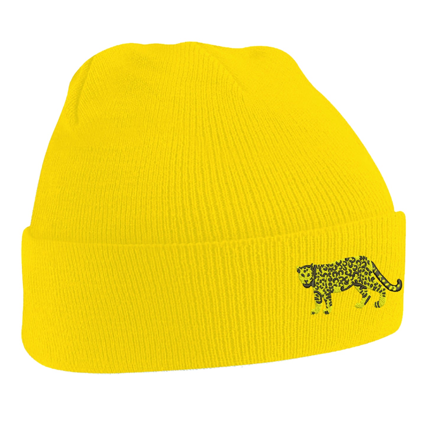 Retro Argentina 1976 Beanie Hat