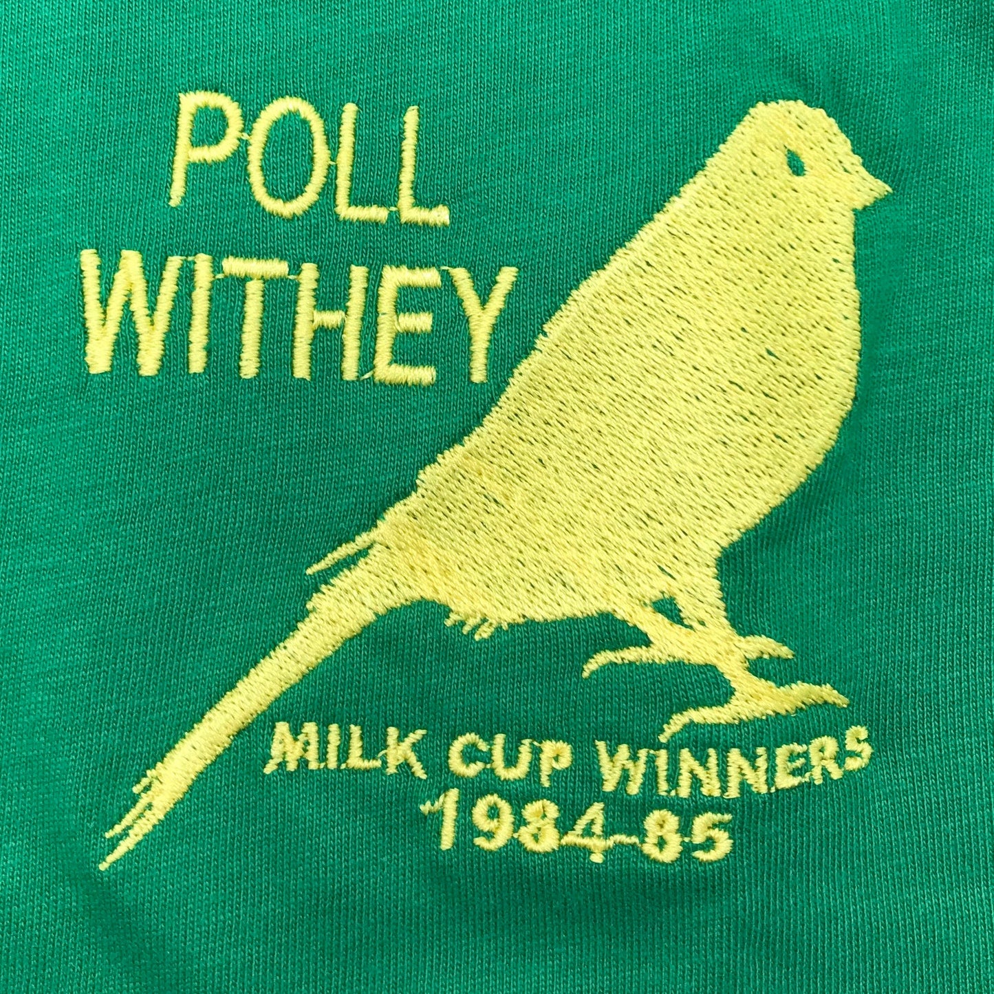 Norwich Badge