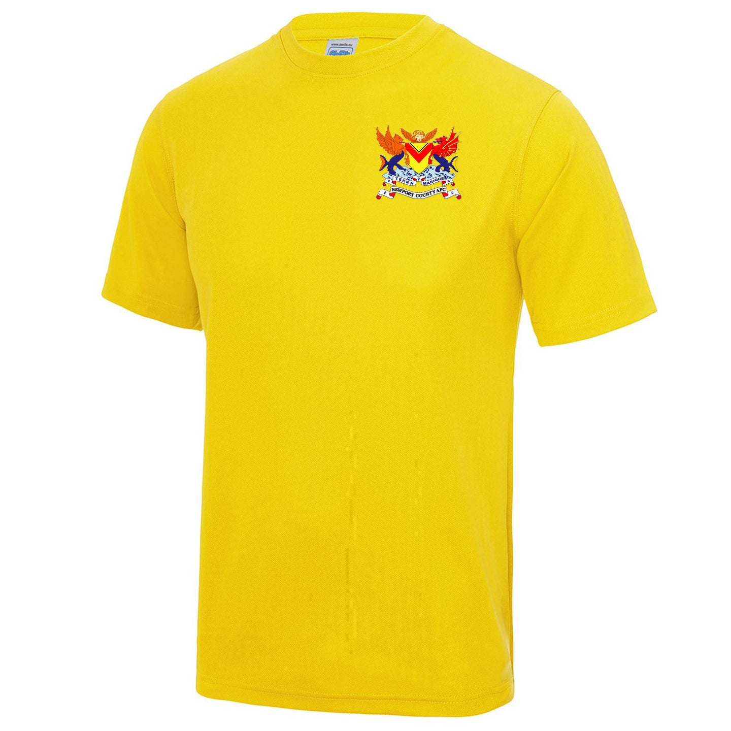 Old School Newport County Shirt