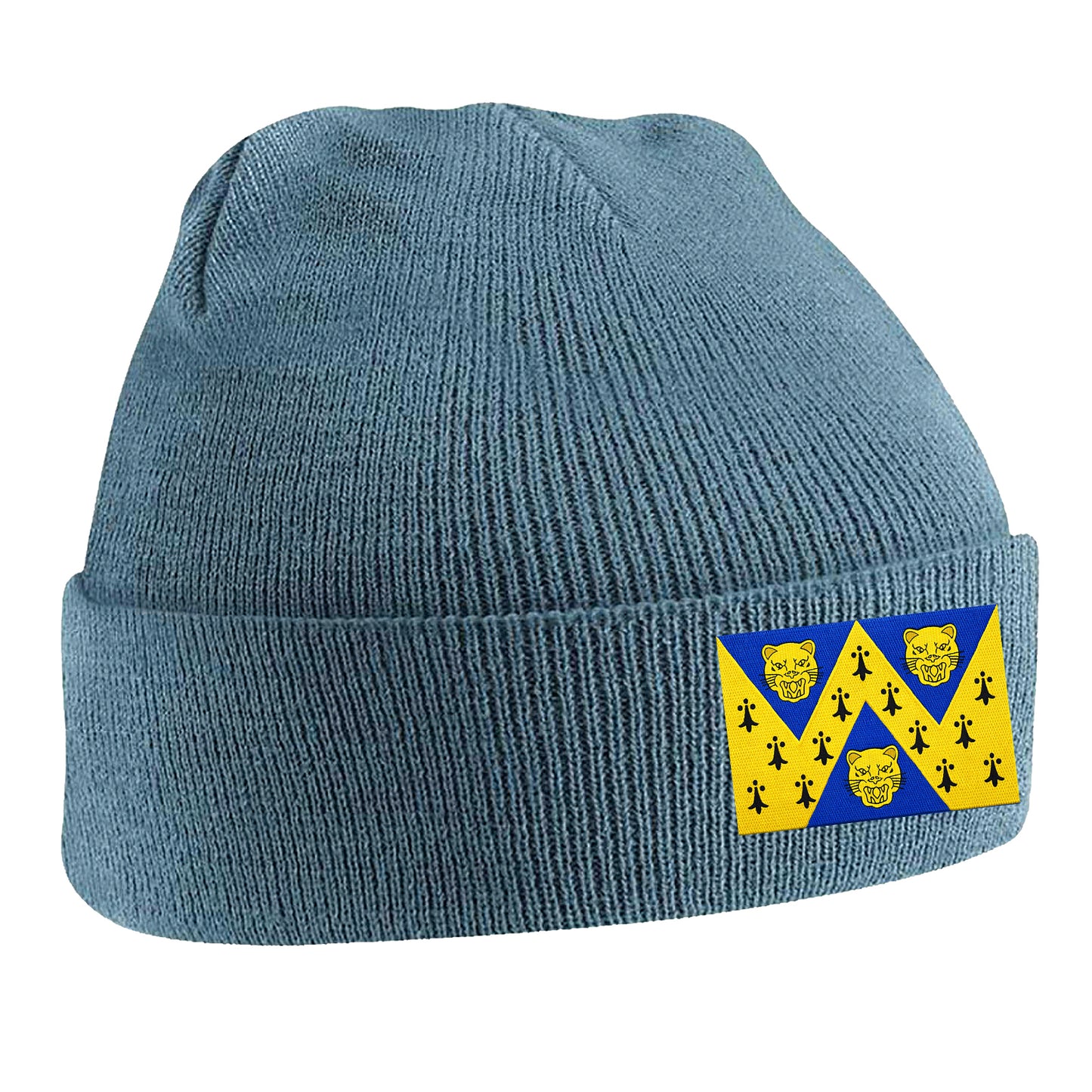 Flag of Shropshire Beanie Hat