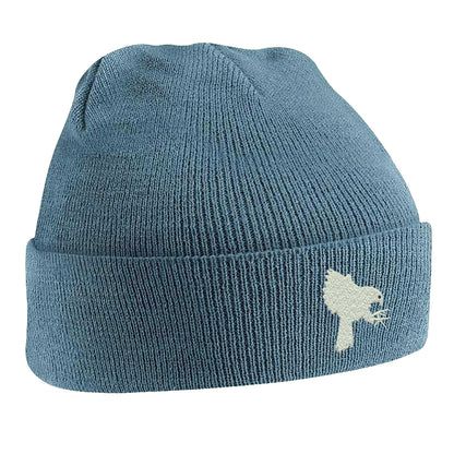 Falcons Beanie Hat