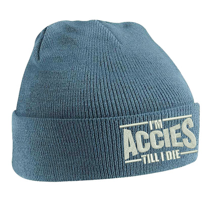 Hamilton Academical Beanie Hat 