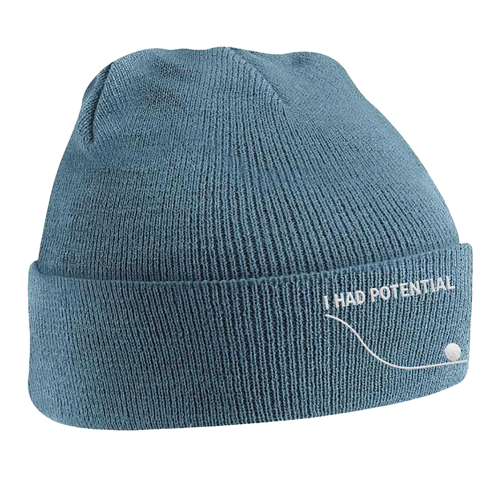 I Had Potential Beanie Hat 