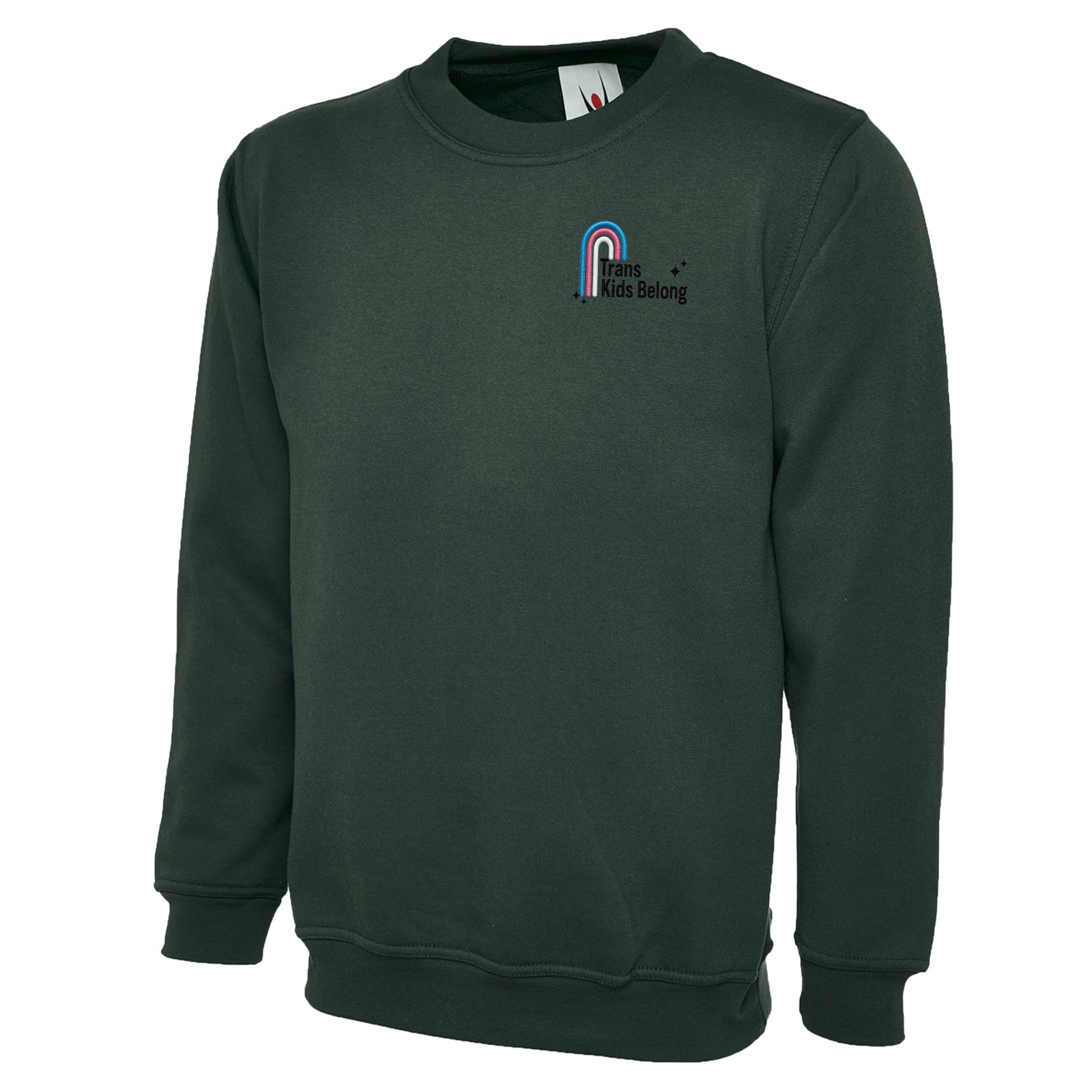 Trans Kids Belong Sweatshirt