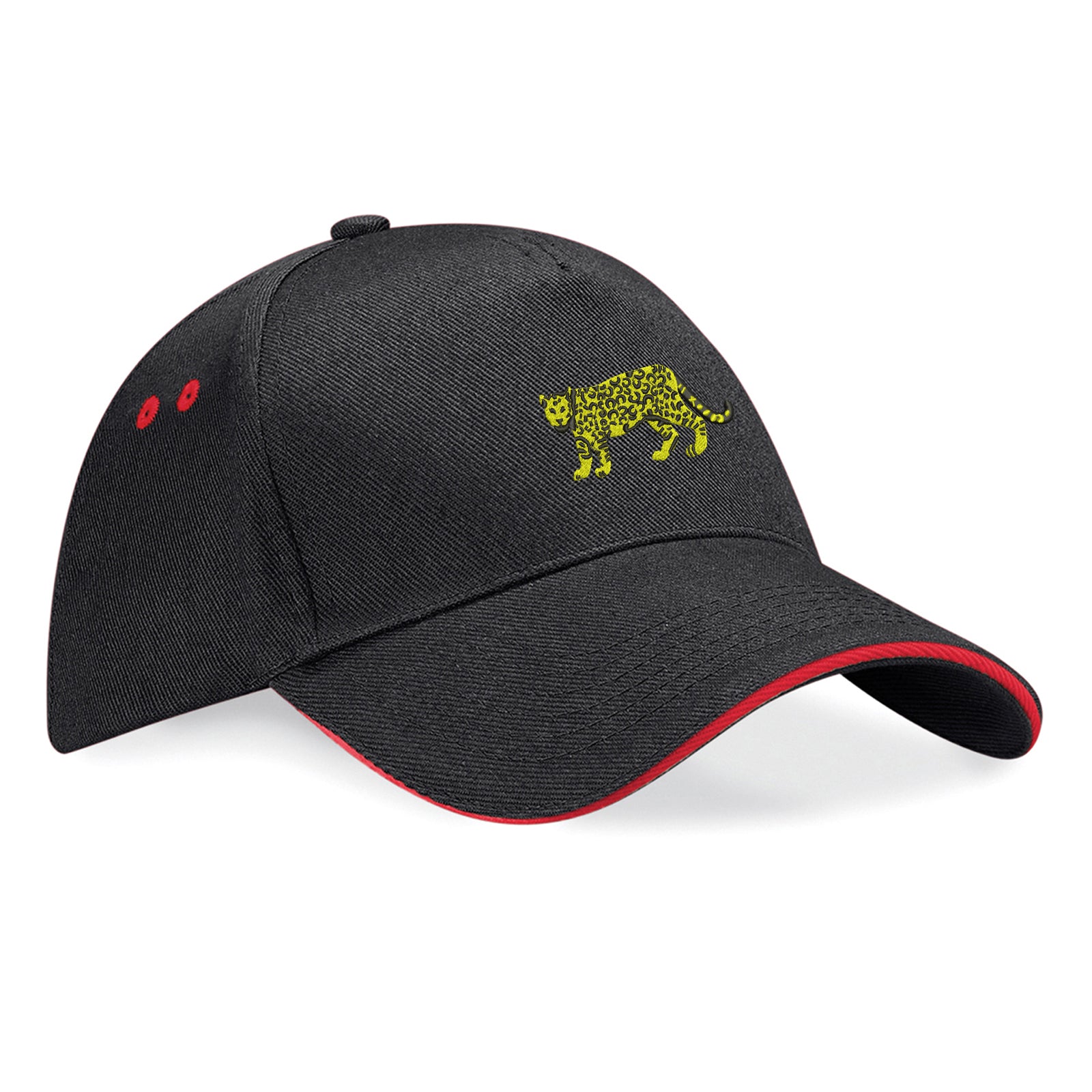 Retro Argentina 1976 Baseball Cap