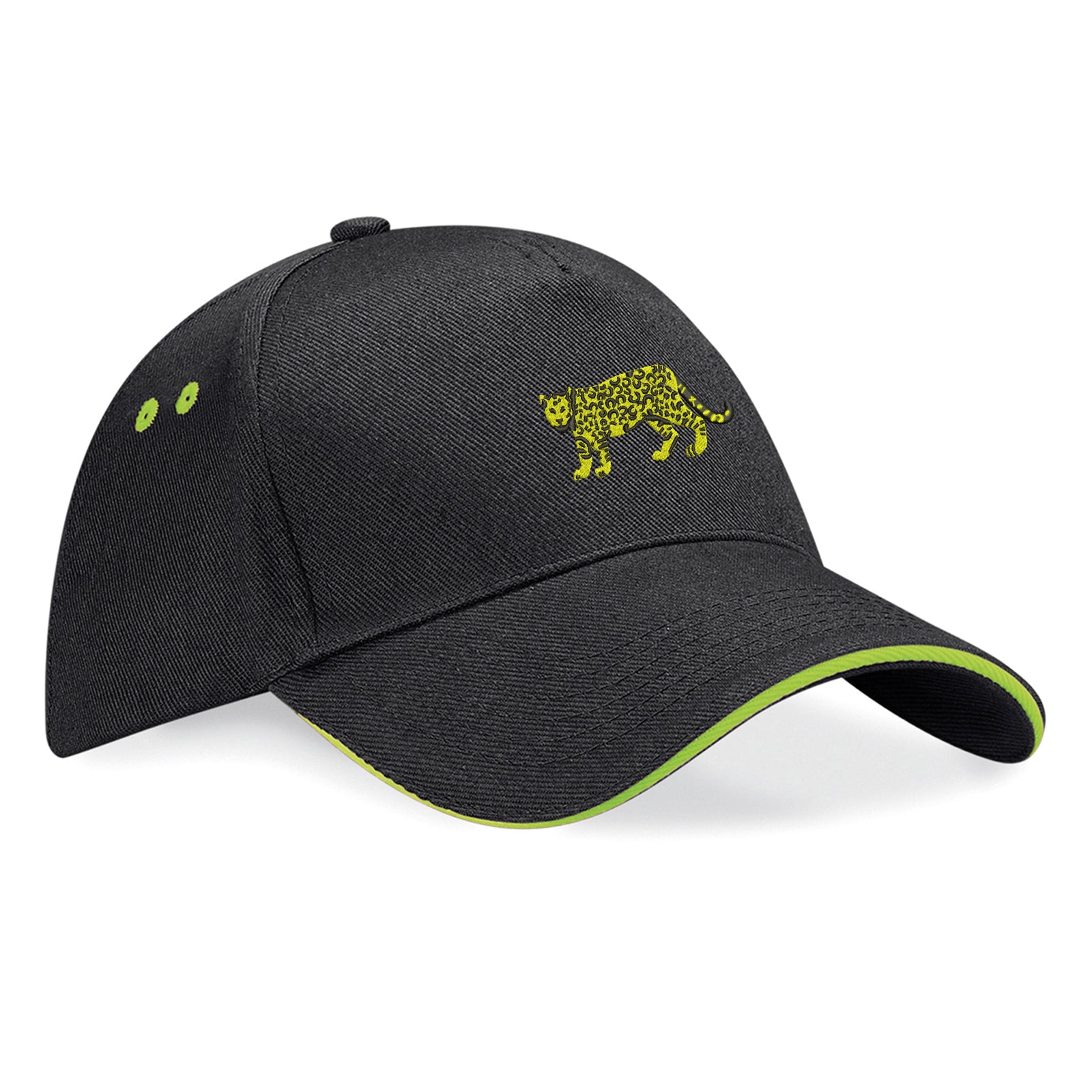 Retro Argentina 1976 Baseball Cap
