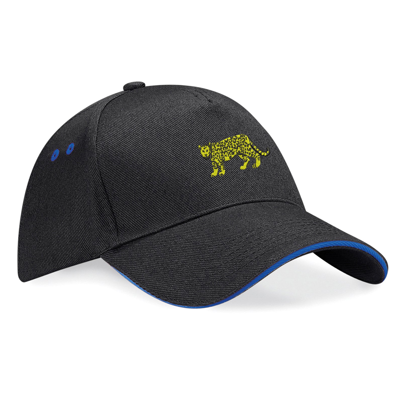 Retro Argentina 1976 Baseball Cap