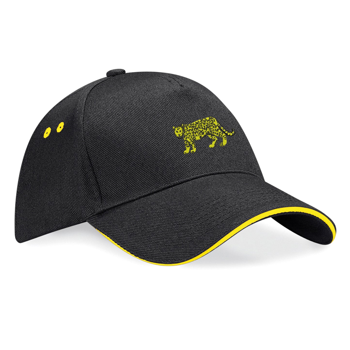 Retro Argentina 1976 Baseball Cap