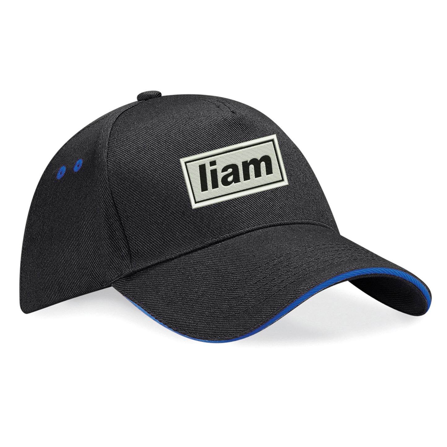 Bonehead Baseball Cap