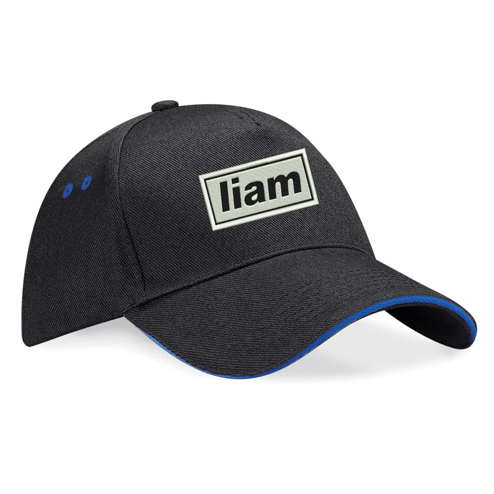 Bonehead Baseball Cap