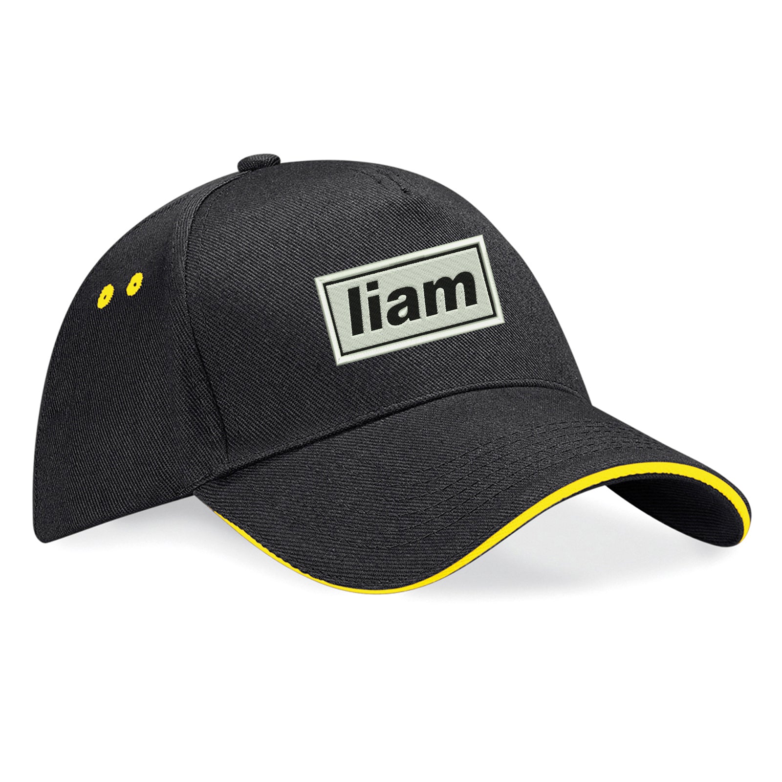 Bonehead Baseball Cap