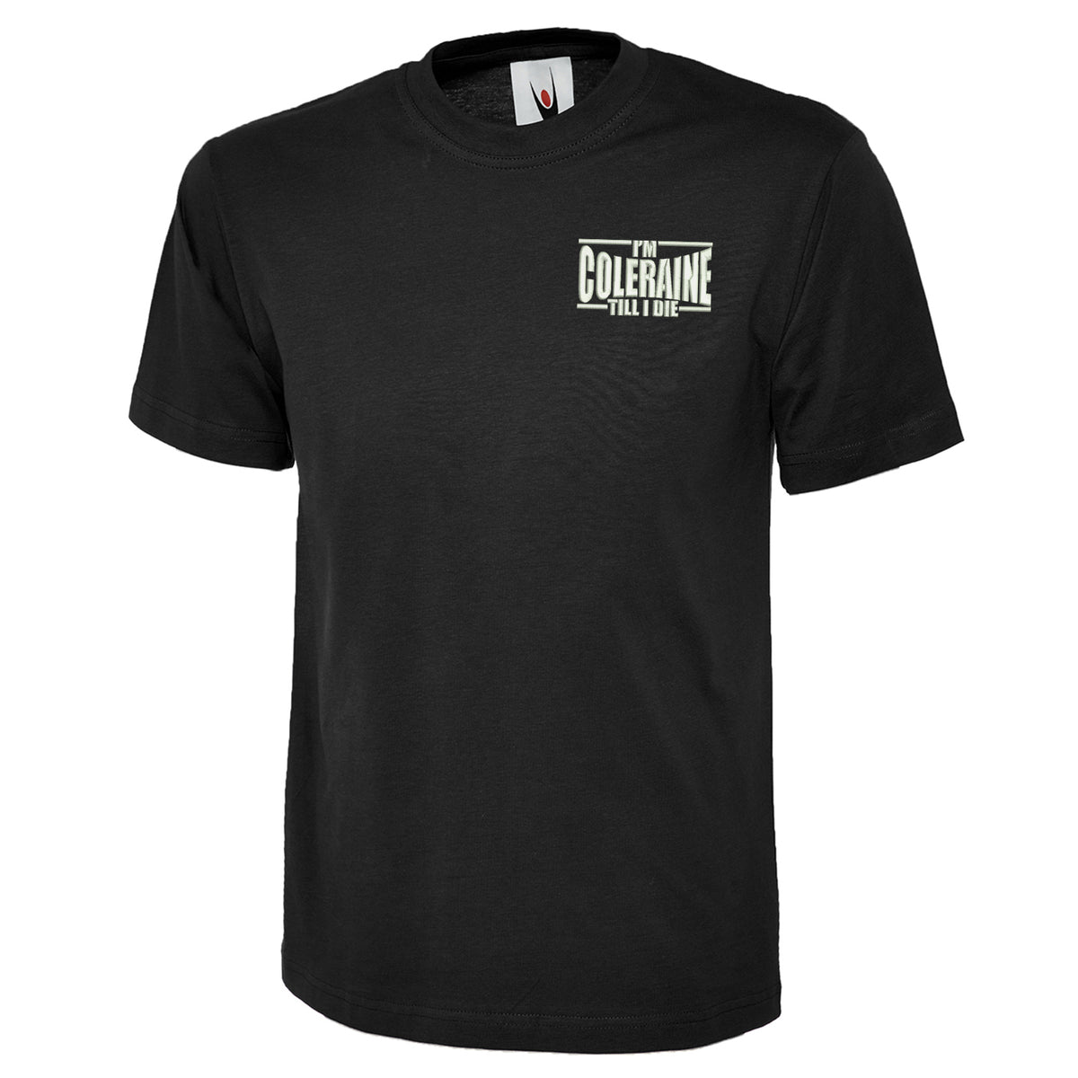 I am Coleraine Embroidered T Shirt