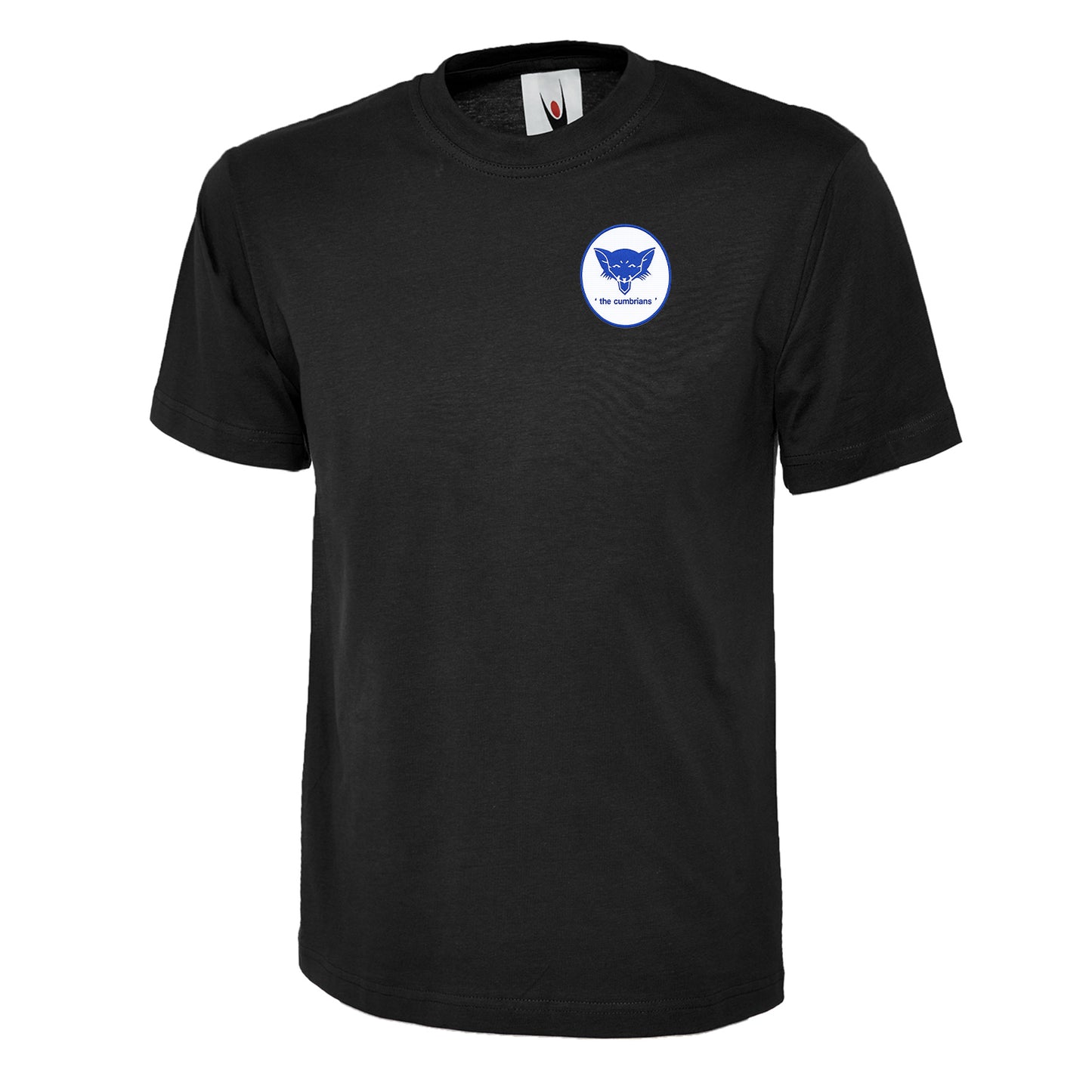 Retro Carlisle The Cumbrians Embroidered Children's T-Shirt
