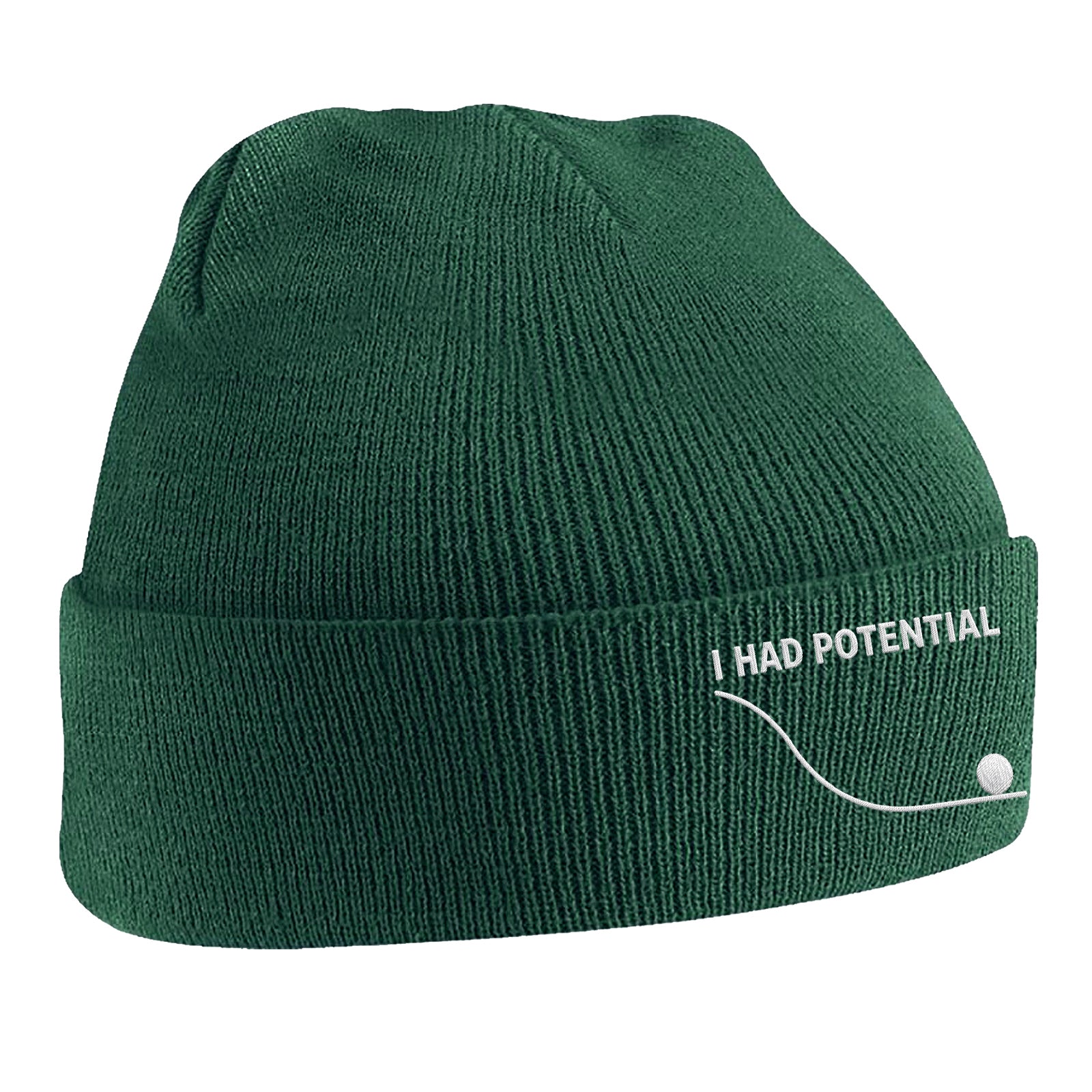 I Had Potential Beanie Hat 