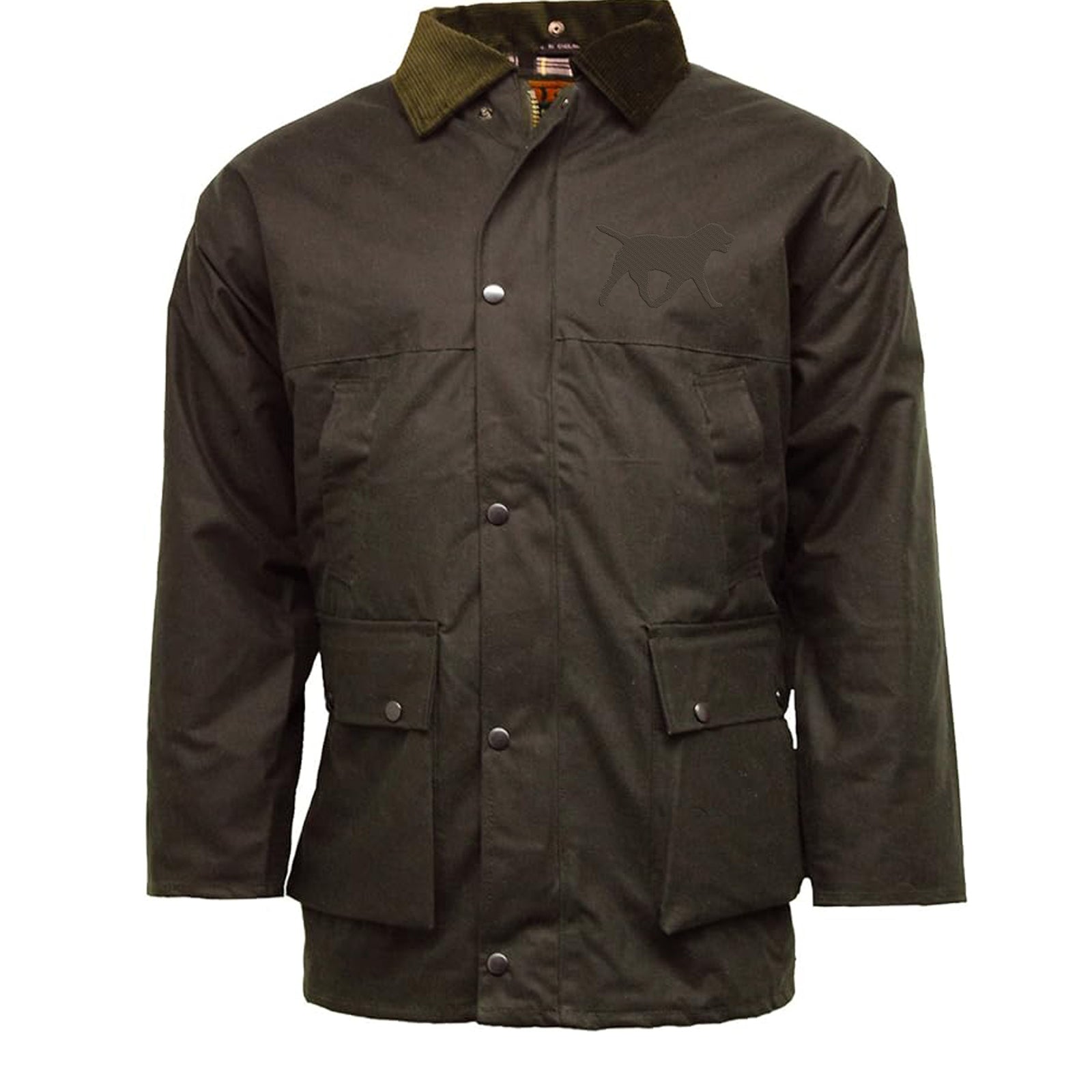 Chocolate Labrador Jacket
