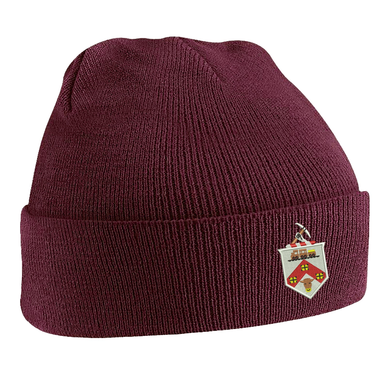 Darlington 1954 Beanie Hat