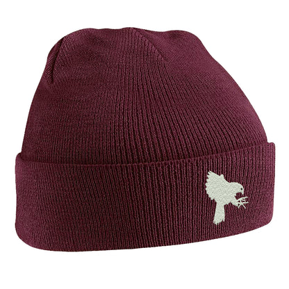 Falcons Beanie Hat
