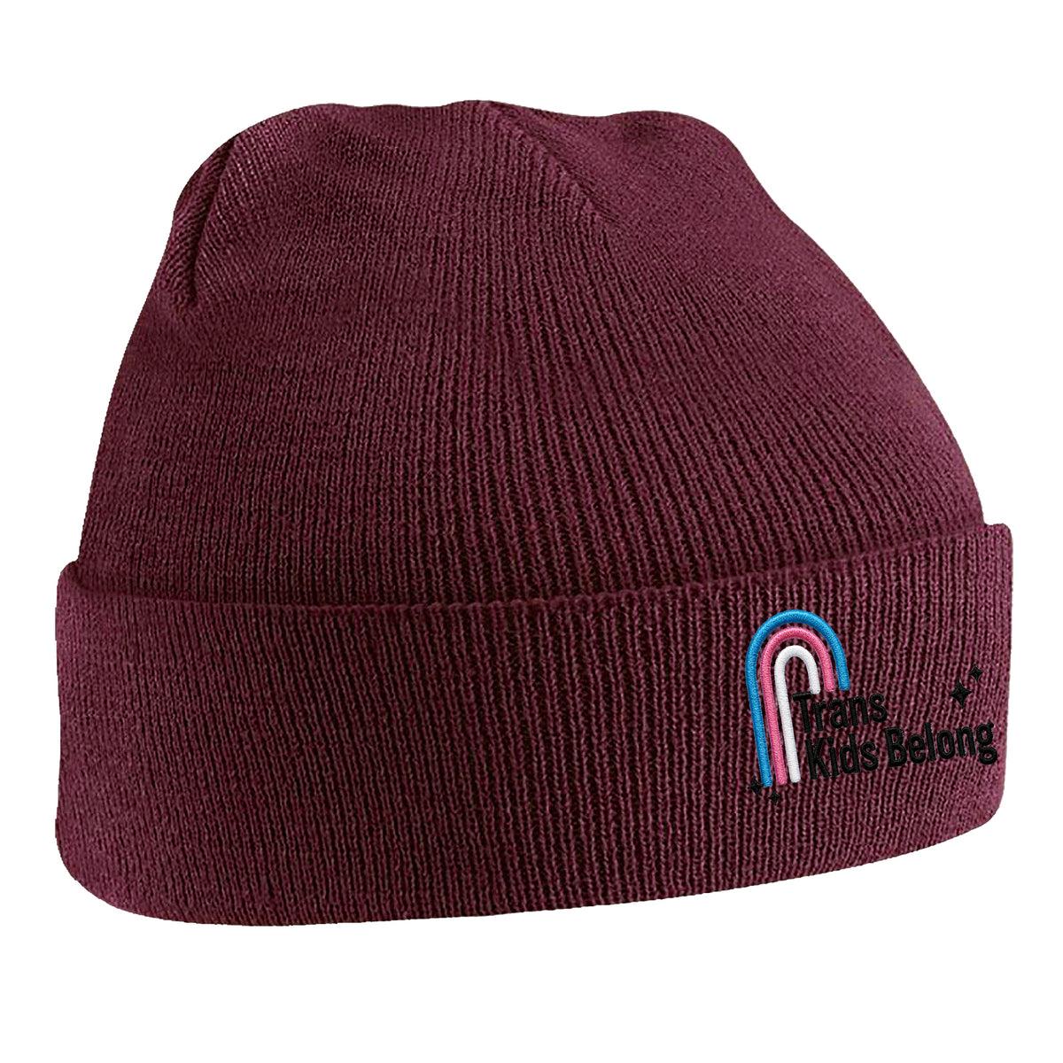Trans Kids Belong Beanie Hat