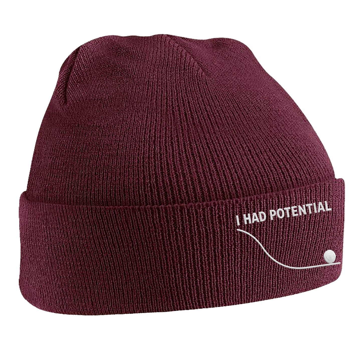 I Had Potential Beanie Hat 