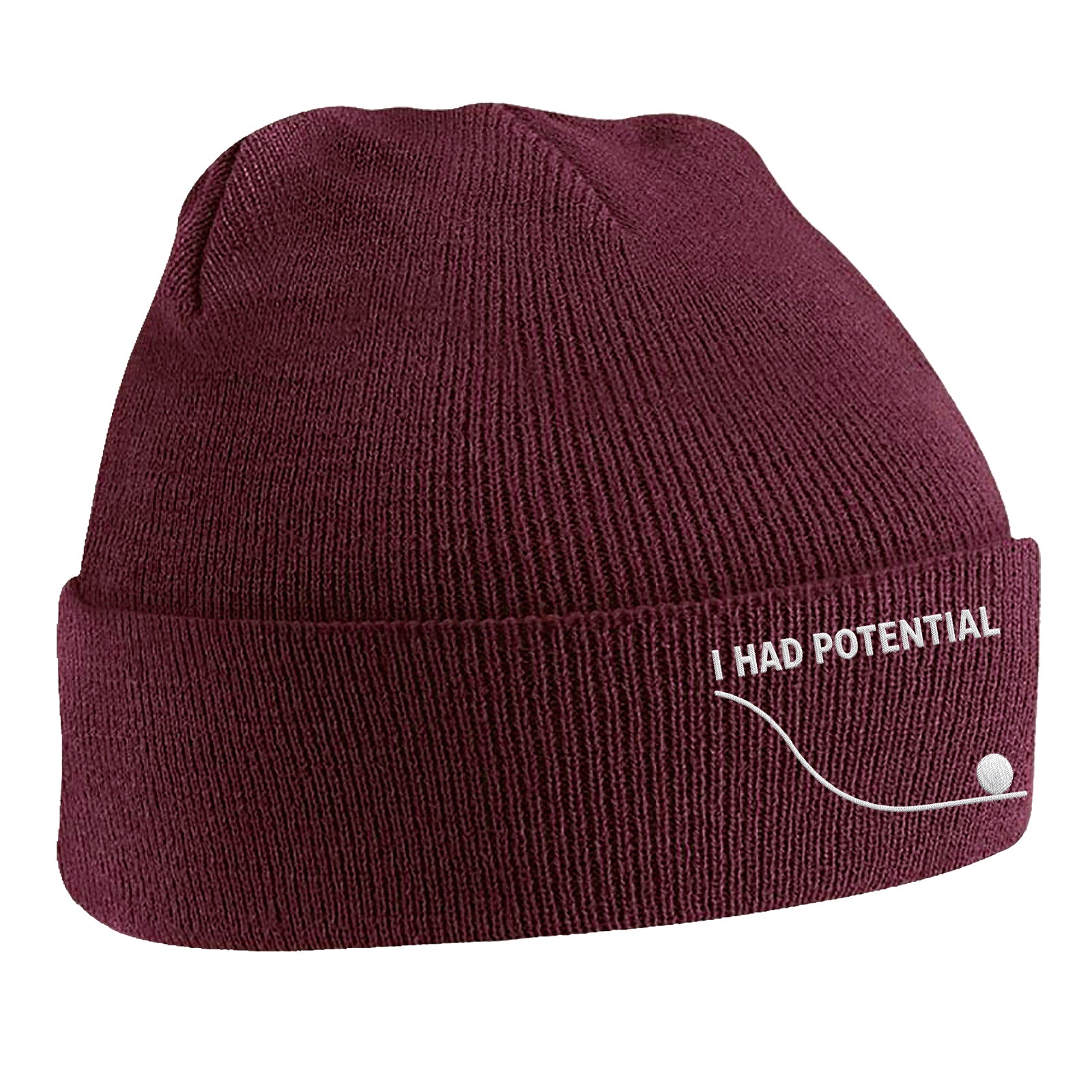 I Had Potential Beanie Hat 