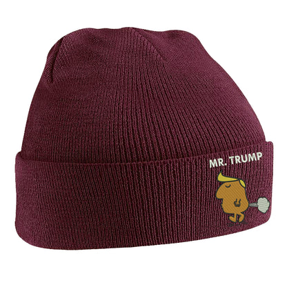Donald Mr Trump Beanie Hat