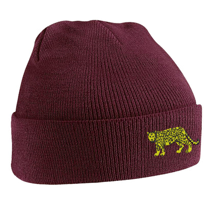 Retro Argentina 1976 Beanie Hat