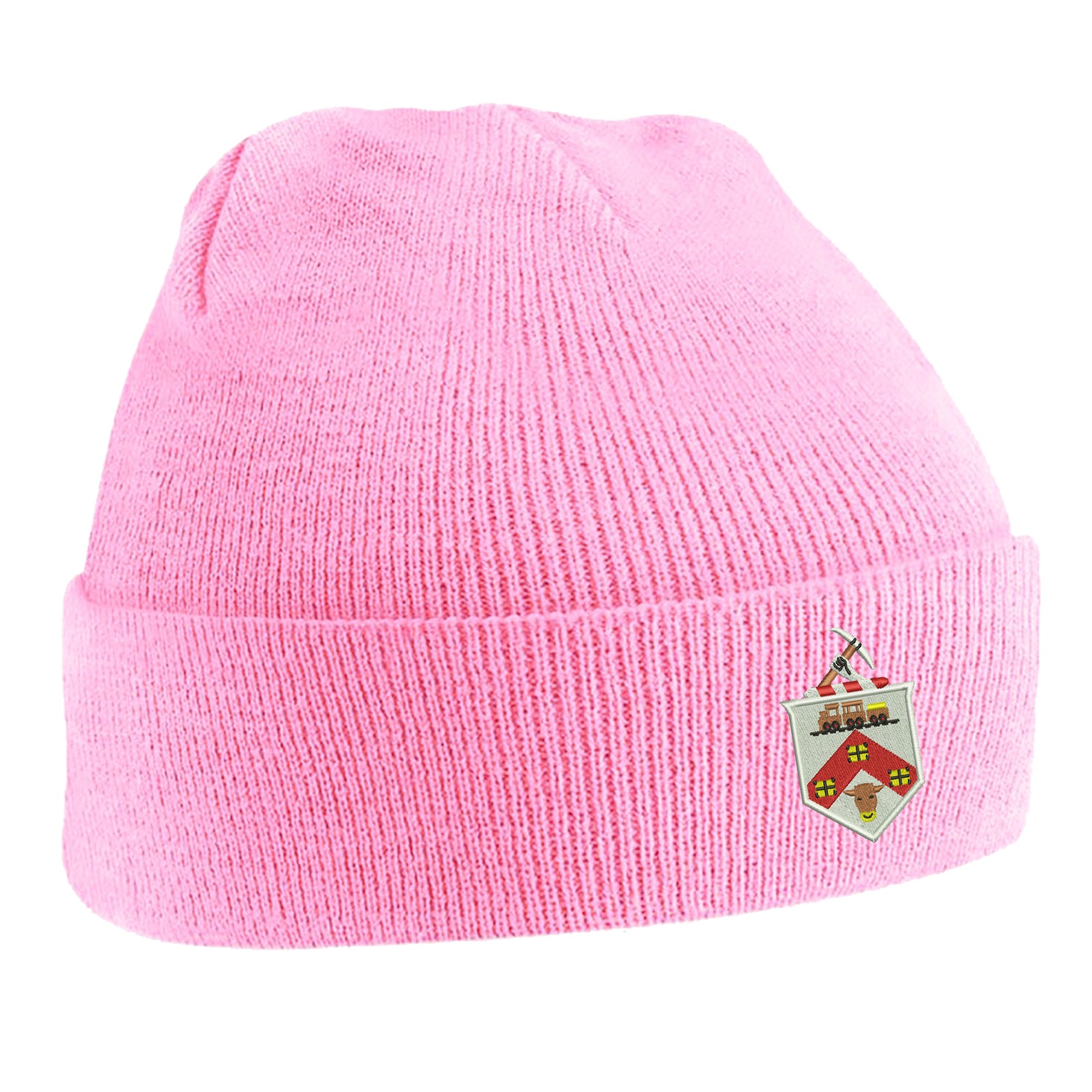 Darlington 1954 Beanie Hat