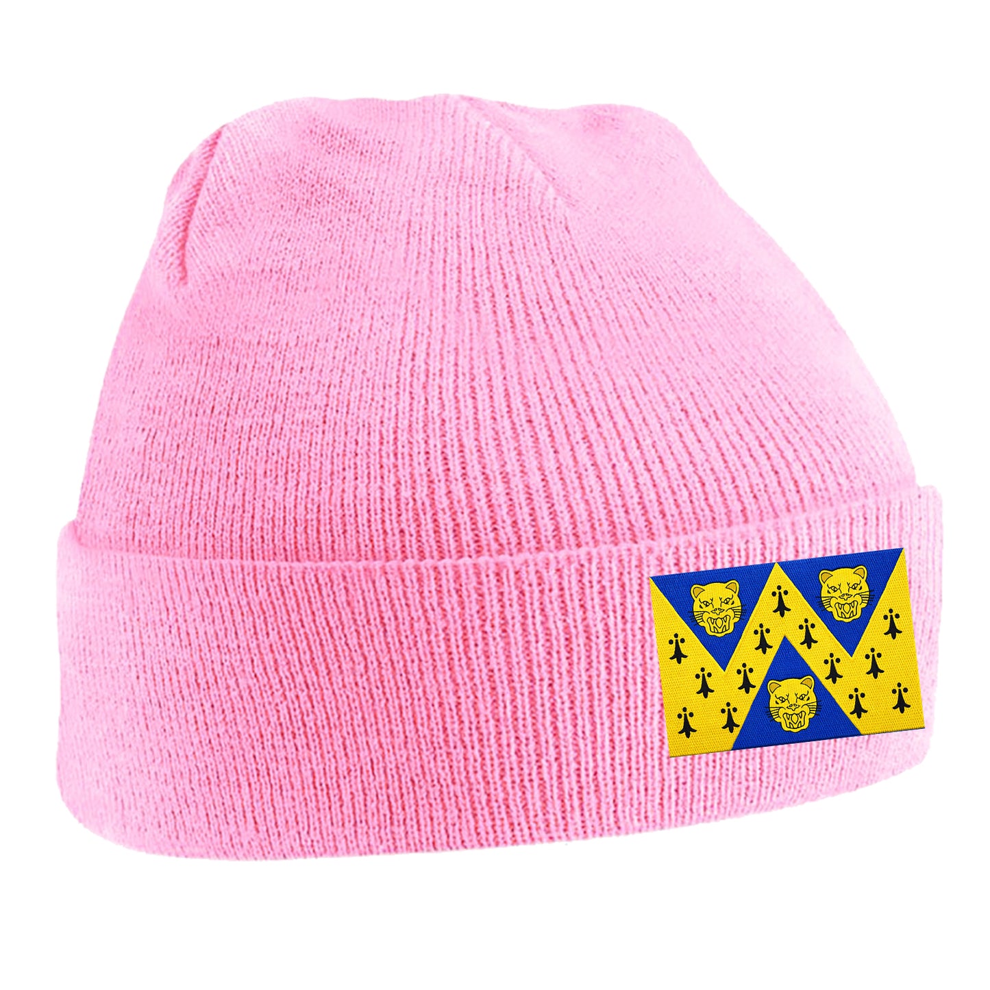 Flag of Shropshire Beanie Hat