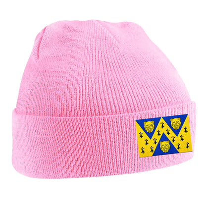 Flag of Shropshire Beanie Hat