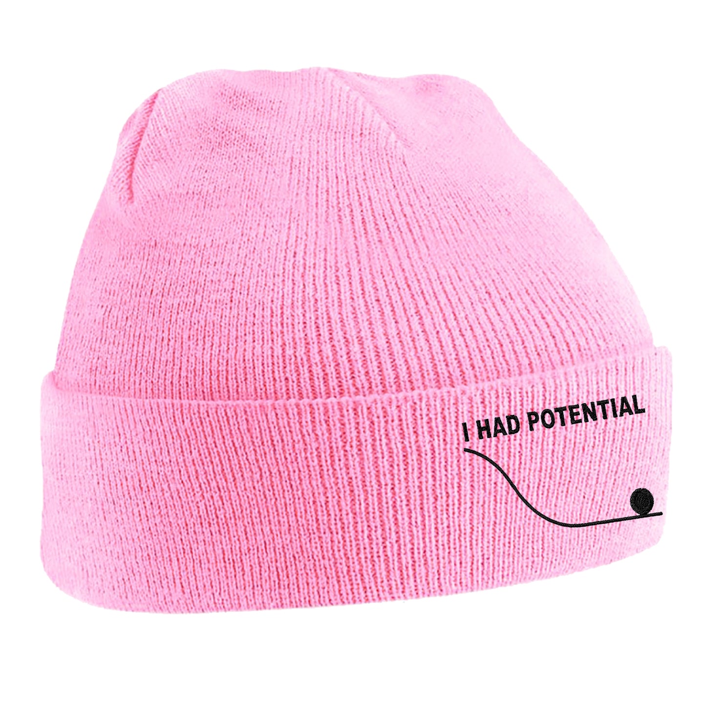 I Had Potential Beanie Hat 