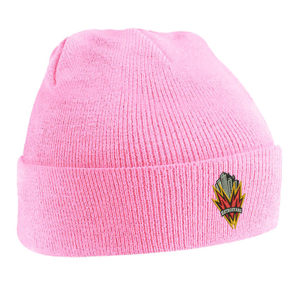 MetroStars 1996 Beanie Hat